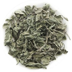 Dry Mint Leaves Tea